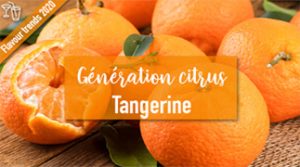 Citrus generation: top up your vitamins with mandarins!